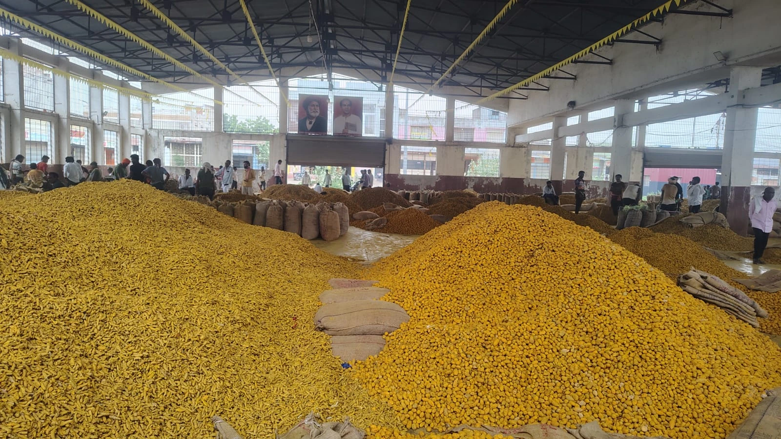 Turmeric heaps in the market hall during the Vasmat visit